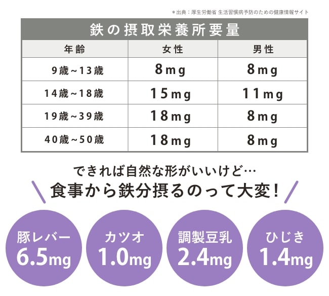 鉄の摂取栄養所要量