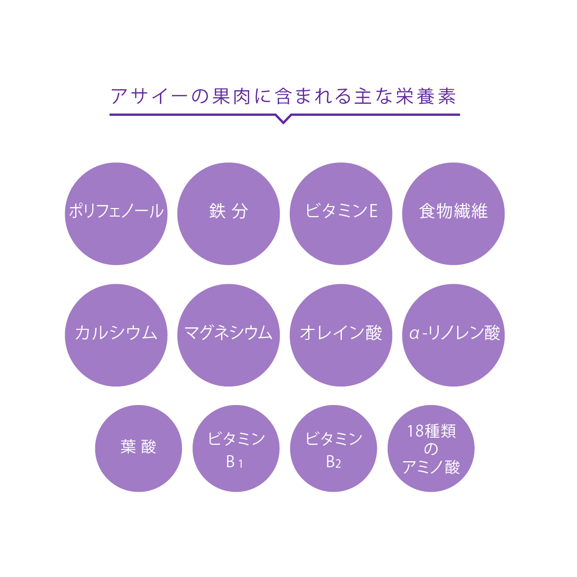 アサイー×お米の乳酸菌POWDER(定期乗り換えプラン2回目以降)