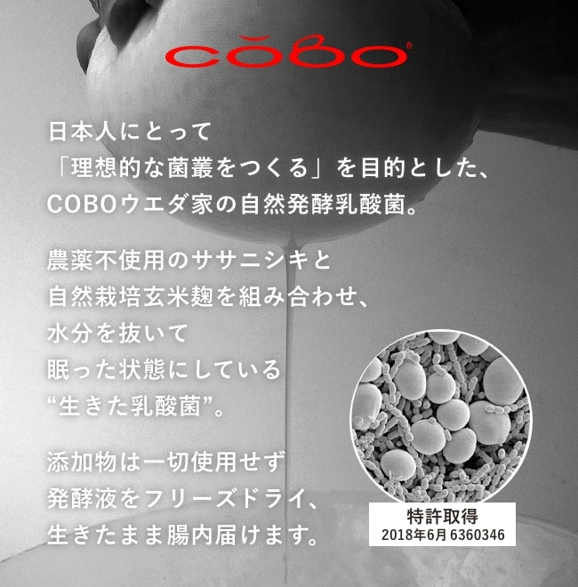 日本人に理想的なお米の乳酸菌を創り出す自然発酵研究所「COBO」